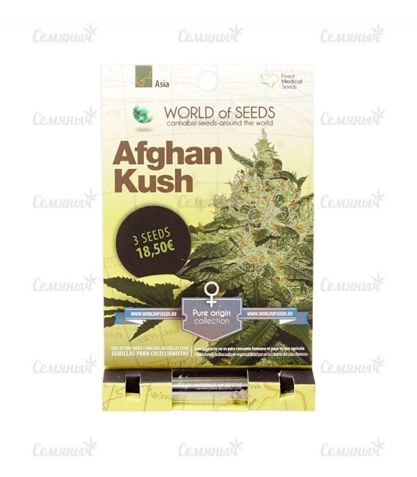 Afghan Kush (World of Seeds) — изображение 2