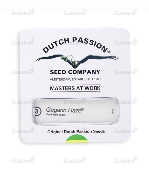 Gagarin Haze (Dutch Passion) — изображение 3