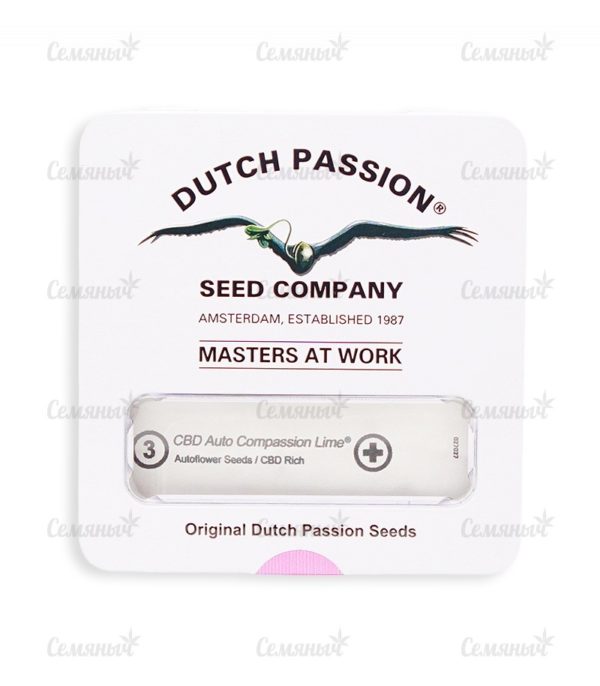 Семена сорта Shark Shock CBD (Dinafem Seeds) — изображение 2