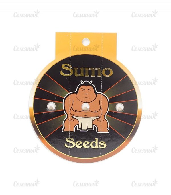 Семена сорта Strawberry Cake (Heavyweight Seeds) — изображение 2