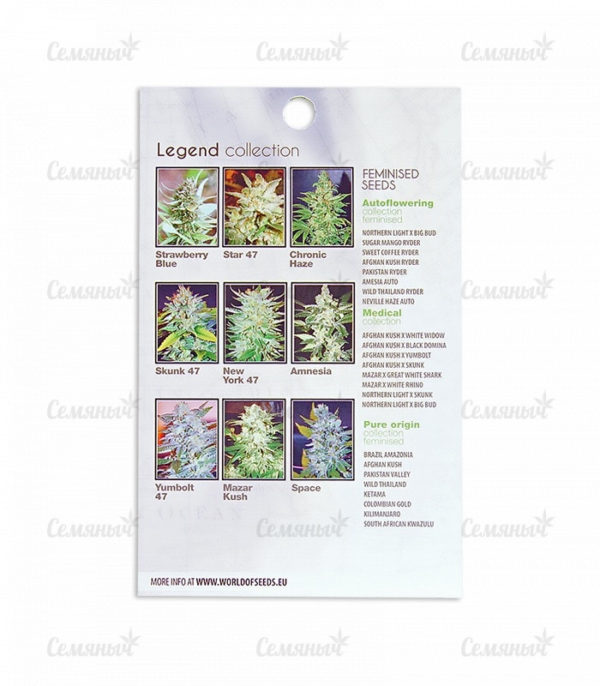 Семена сорта Mazar Kush (World of Seeds) — изображение 3