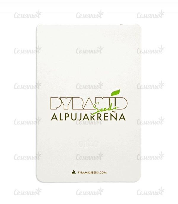 Семена сорта Himalaya Gold (GHS) — изображение 4