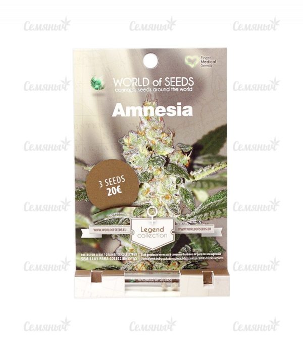 Семена сорта Anesthesia (Pyramid Seeds) — изображение 2