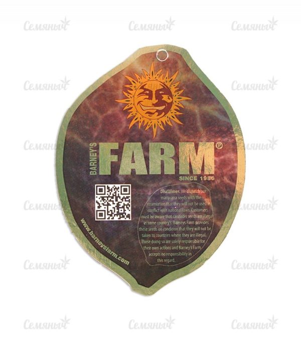 Семена сорта Glookies fem (Barney's Farm) — изображение 3