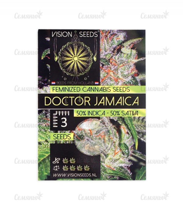 Семена сорта Auto Anubis (Pyramid Seeds) — изображение 2