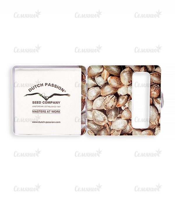 Семена сорта Shark Shock CBD (Dinafem Seeds) — изображение 3