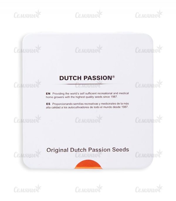 Семена сорта Delhi Friend (Dr. Krippling Seeds) — изображение 4