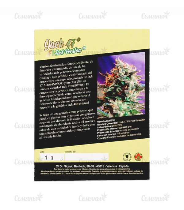 Семена сорта BlackJack (Nirvana Seeds) — изображение 3
