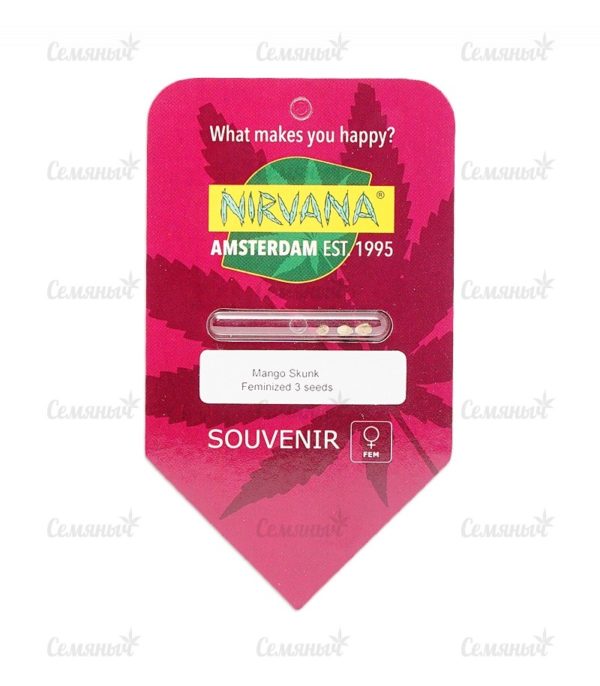 Семена сорта Delicious Candy Auto (Delicious Seeds) — изображение 2