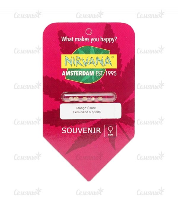 Семена сорта Delicious Candy Auto (Delicious Seeds) — изображение 3