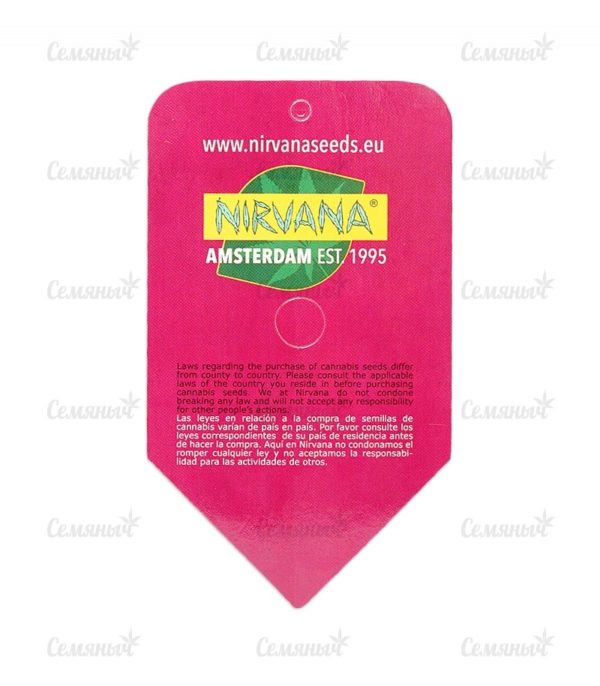 Семена сорта Delicious Candy Auto (Delicious Seeds) — изображение 4