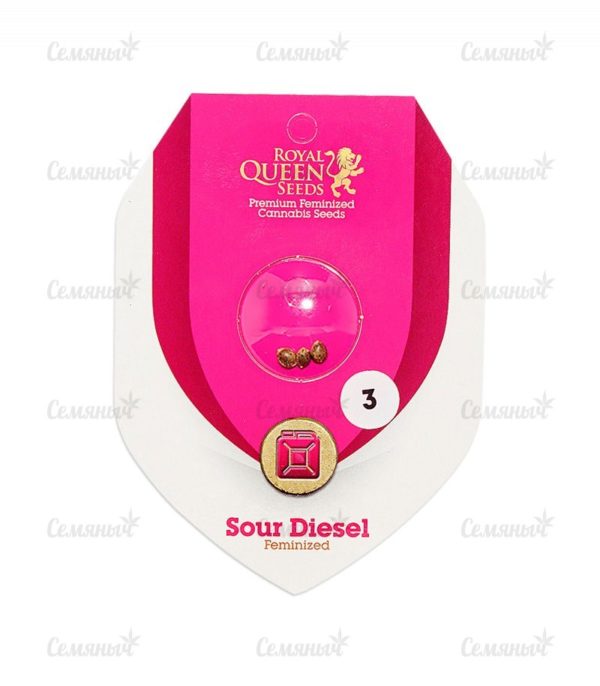 Семена сорта Puff Puff Pass Out (KFC Seeds) — изображение 2