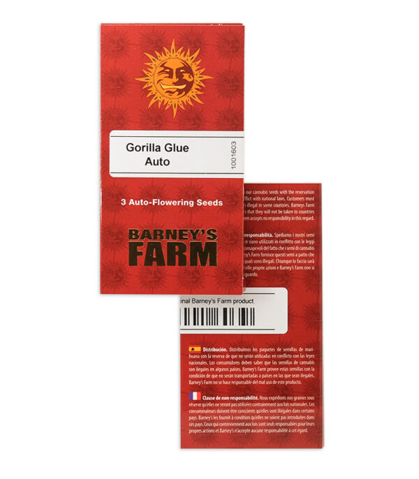 Gorilla Glue Auto fem (Barney's Farm) — изображение 2