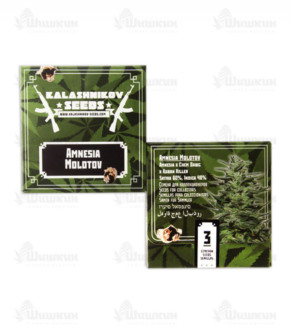 Amnesia Molotov fem (Kalashnikov Seeds) семена конопли — изображение 2