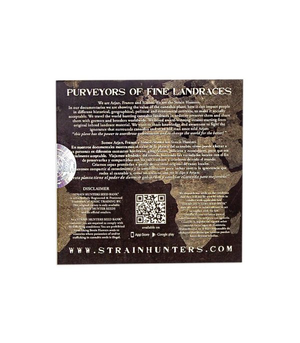 Семена сорта Damnesia fem (Strain Hunters) — изображение 3