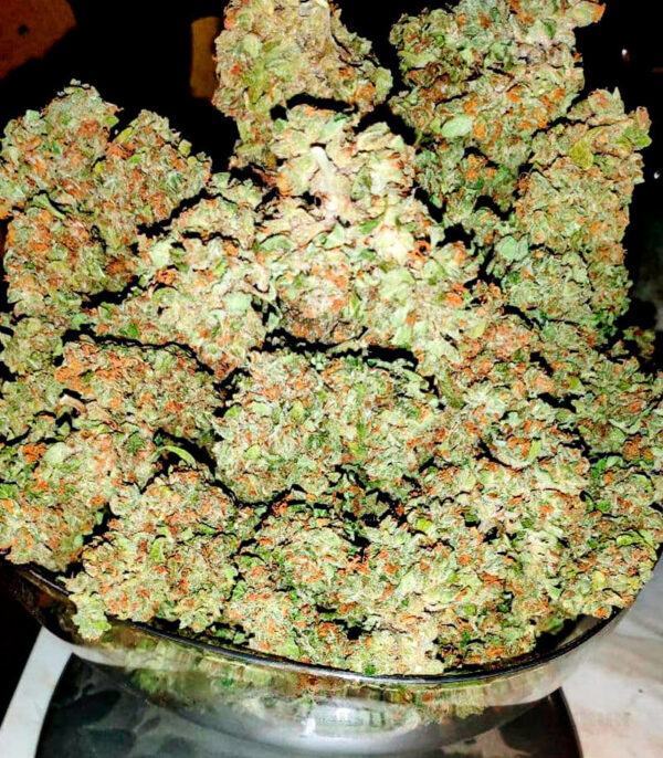 Bruce Banner Auto (Cali Buds Seeds) семена конопли — изображение 2