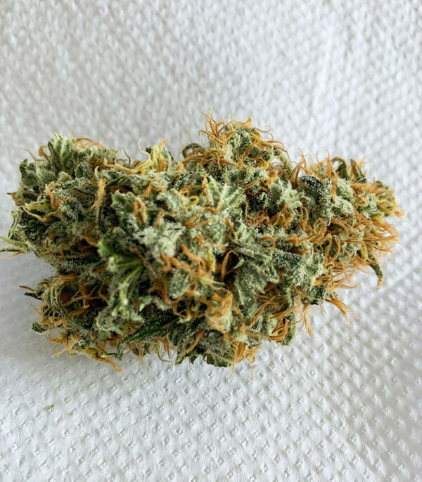 Семена сорта Vitality fem (AlphaFem Seeds) — изображение 6
