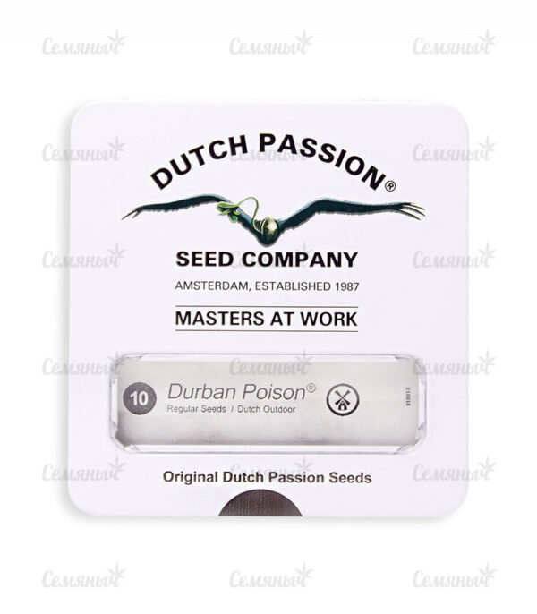 Durban Poison regular (Dutch Passion) — изображение 2